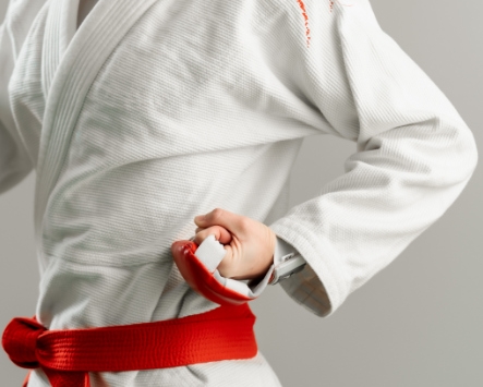 Rules JJIF Fighting 2023 35