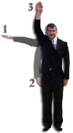 Geste arbitre judo : Waza-ari-awasete-ippon