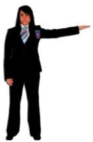 Geste arbitre judo : Waza-ari